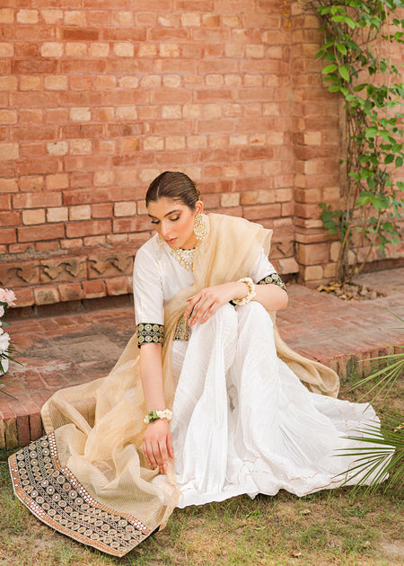 Cross Stitch Unstitched Premium Jacquard Collection 2022 | Shah Noor
