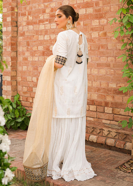 Cross Stitch Unstitched Premium Jacquard Collection 2022 | Shah Noor