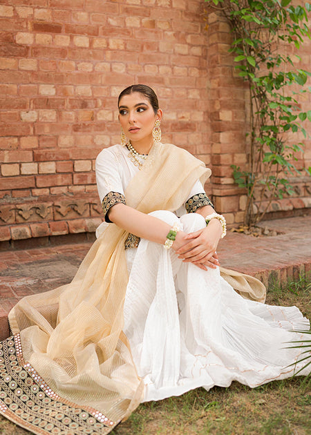 Cross Stitch Unstitched Premium Jacquard Collection 2022 | Shah Noor