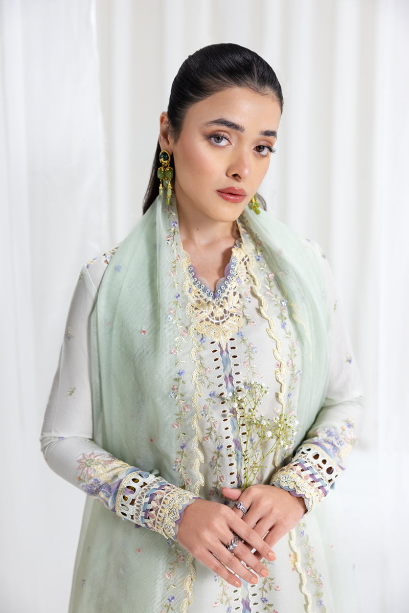 Qalamkar Luxury Lawn 2025 - 3pc Unstitched | Rimsha