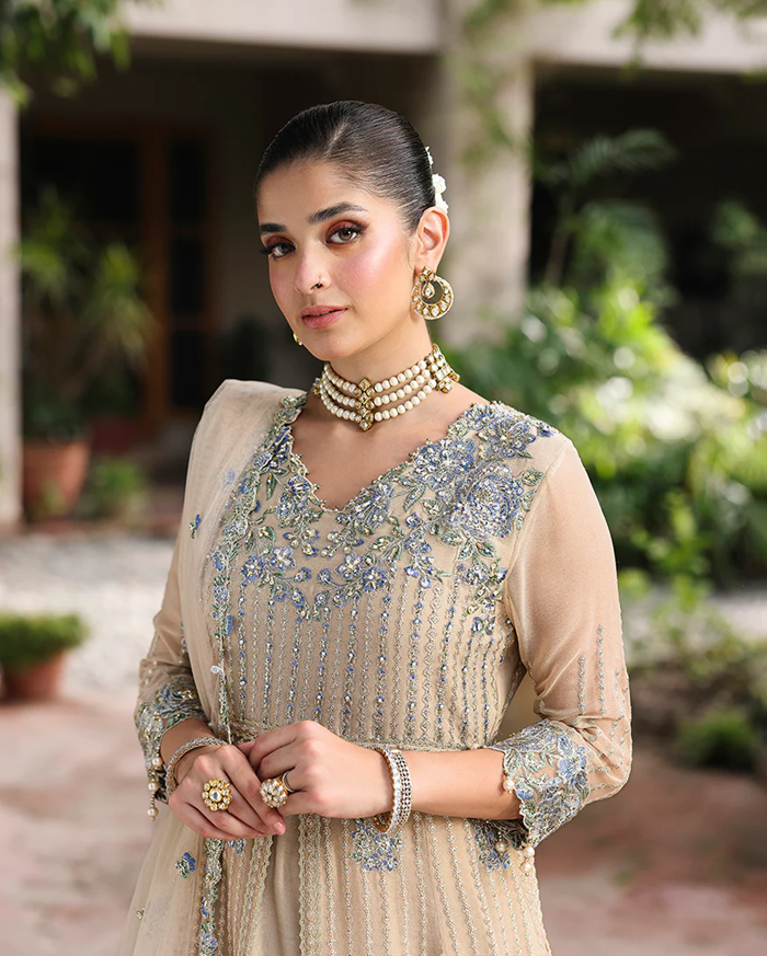 Roheenaz Aangan Chiffon Unstitched Collection 25 RUNCH250107 | Sehrish