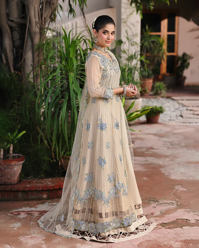Roheenaz Aangan Chiffon Unstitched Collection 25 RUNCH250107 | Sehrish