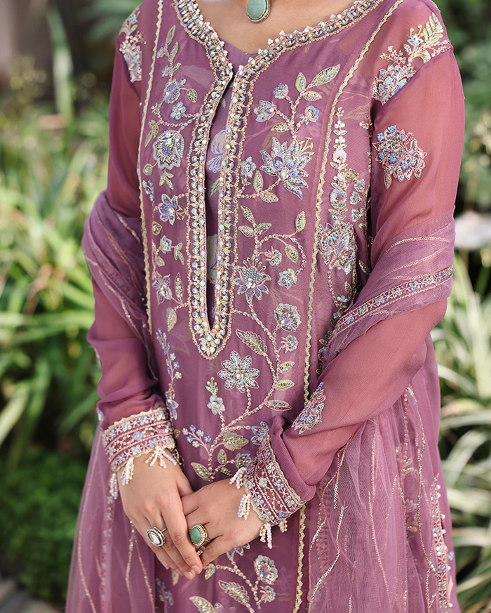 Roheenaz Aangan Chiffon Unstitched Collection 25 RUNCH250102 | Arooj