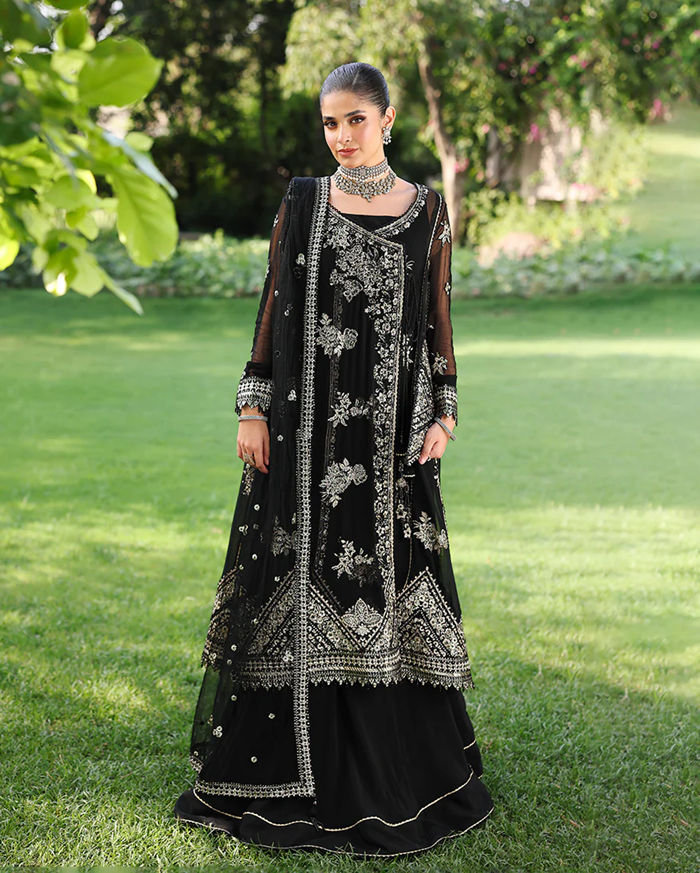 Roheenaz Aangan Chiffon Unstitched Collection 25 RUNCH250101 | Zyrah
