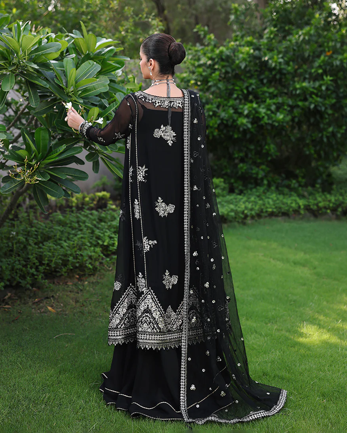 Roheenaz Aangan Chiffon Unstitched Collection 25 RUNCH250101 | Zyrah