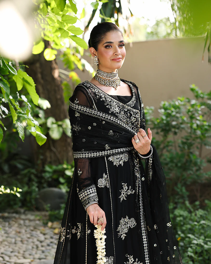Roheenaz Aangan Chiffon Unstitched Collection 25 RUNCH250101 | Zyrah