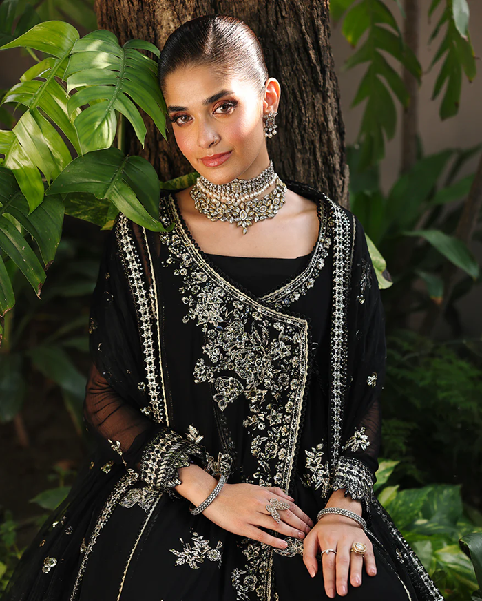 Roheenaz Aangan Chiffon Unstitched Collection 25 RUNCH250101 | Zyrah