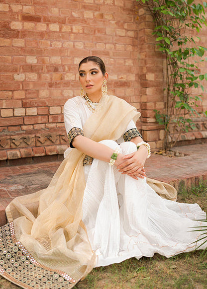 Cross Stitch Unstitched Premium Jacquard Collection 2022 | Shah Noor
