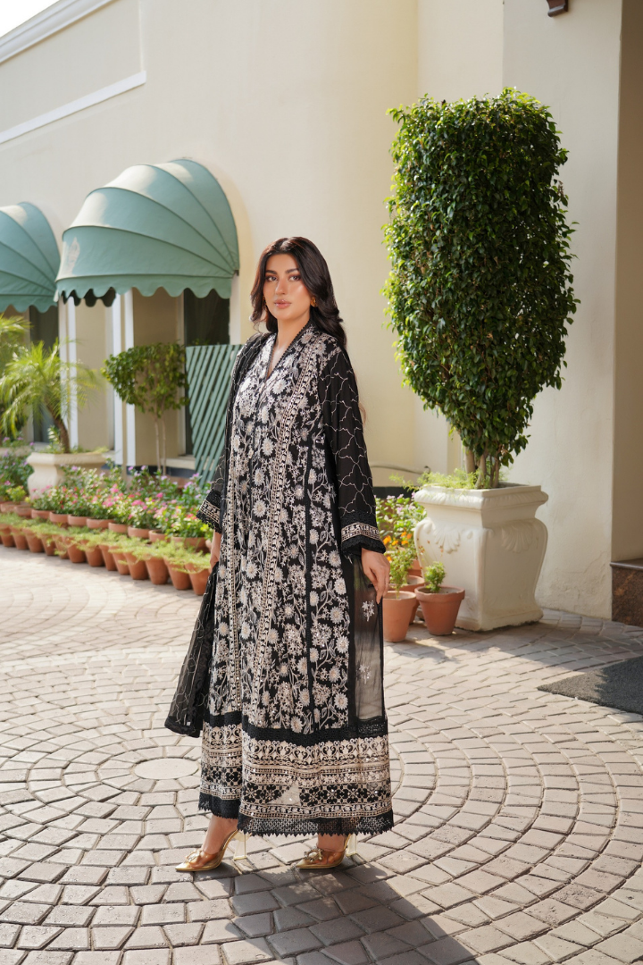 Agha Noor Luxury Gowns Afsanay Ready to Wear Collection | Black