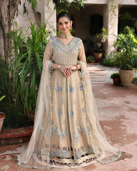 Roheenaz Aangan Chiffon Unstitched Collection 25 RUNCH250107 | Sehrish