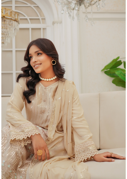 Agha Noor Silk Ready to Wear Collection Nov-2025 | Fawn