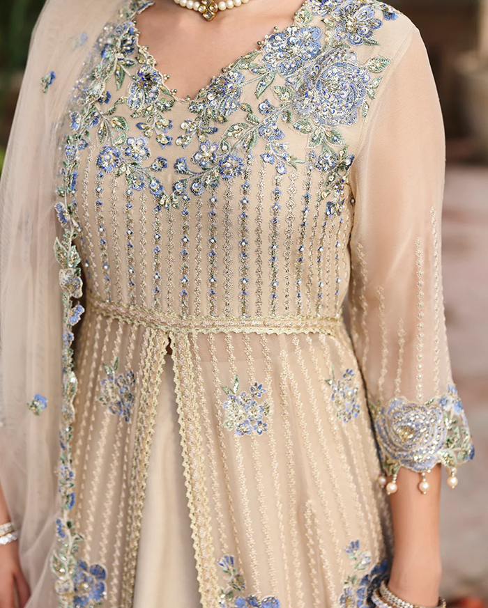 Roheenaz Aangan Chiffon Unstitched Collection 25 RUNCH250107 | Sehrish