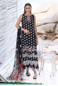 Noor by Saadia Asad Luxe Printkari Lawn 2024 | D6-A - Mirha Fashion