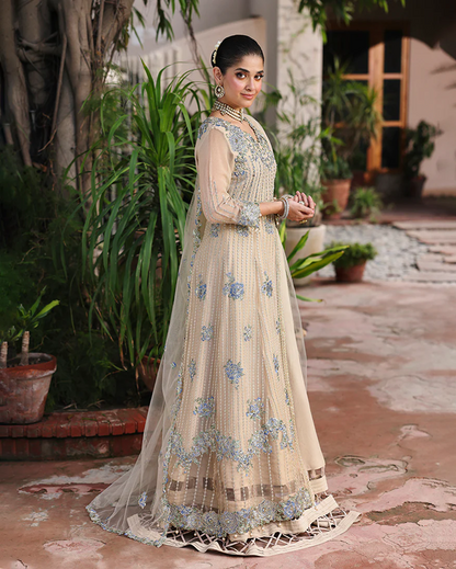 Roheenaz Aangan Chiffon Unstitched Collection 25 RUNCH250107 | Sehrish