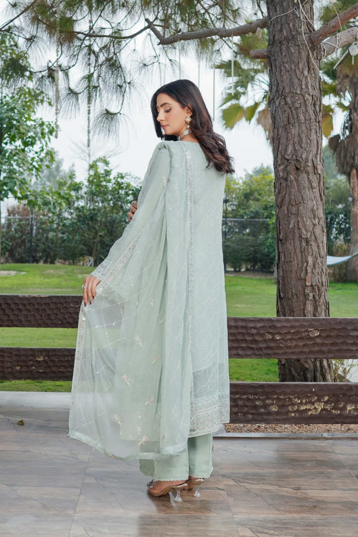 Agha Noor Sehnai Handwork Eid Ready To Wear Collection 2026 | Light Green - Mirha Fashion