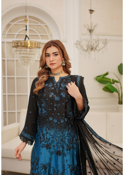 Agha Noor Silk Ready to Wear Collection Nov-2025 | Malaysian black