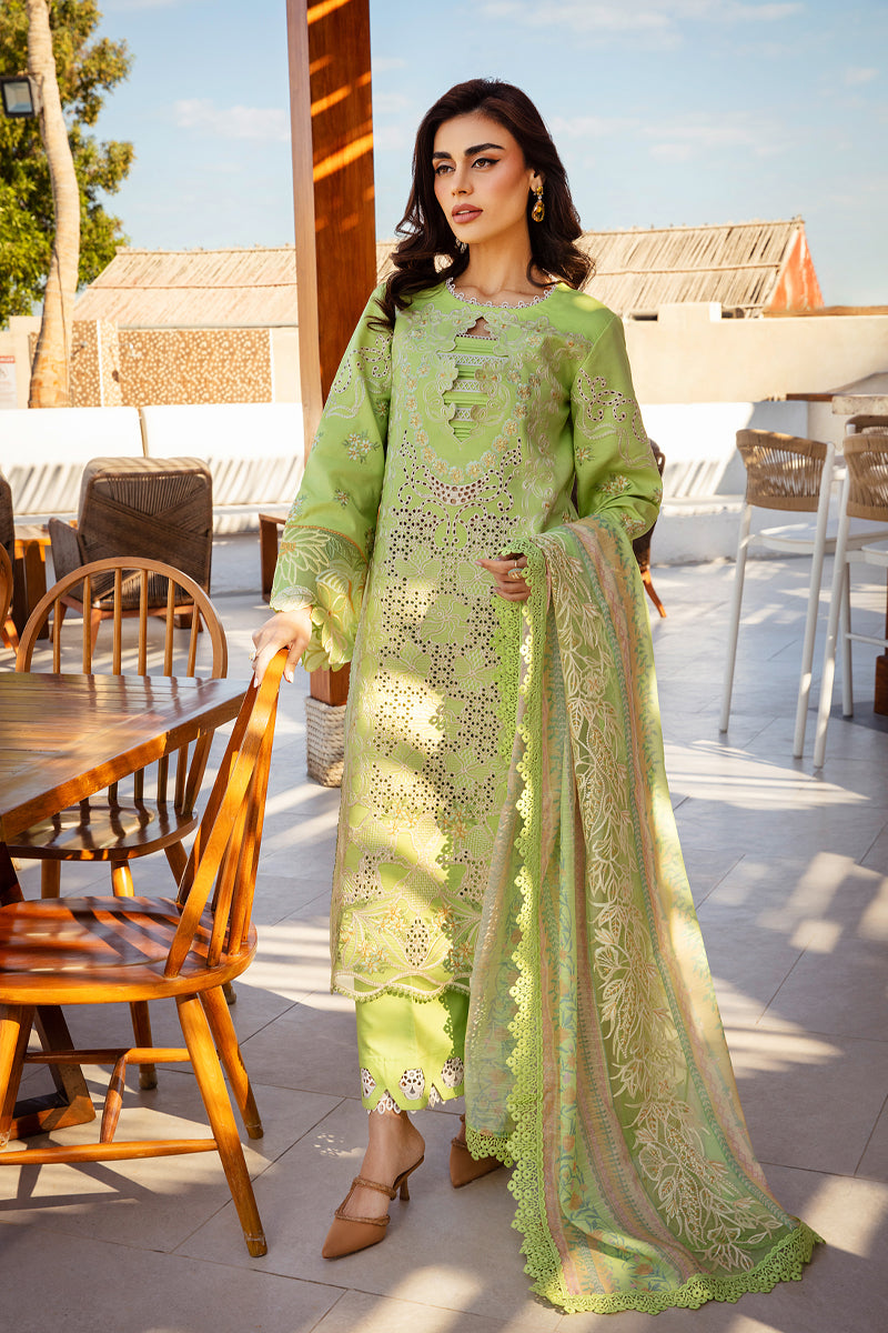 Rang Rasiya Premium Lawn Collection 2025  - Elaheh