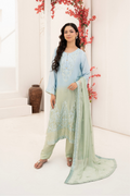Shaanse Luxury Ombre Silk Ready to Wear Collection 2026 | Sky Blue Green