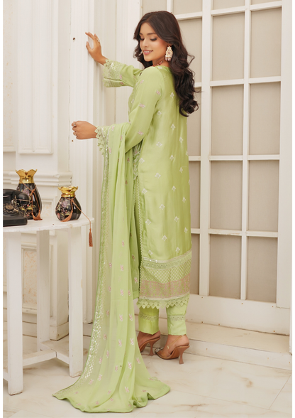 Agha Noor Silk Ready to Wear Collection Nov-2025 | Light Green