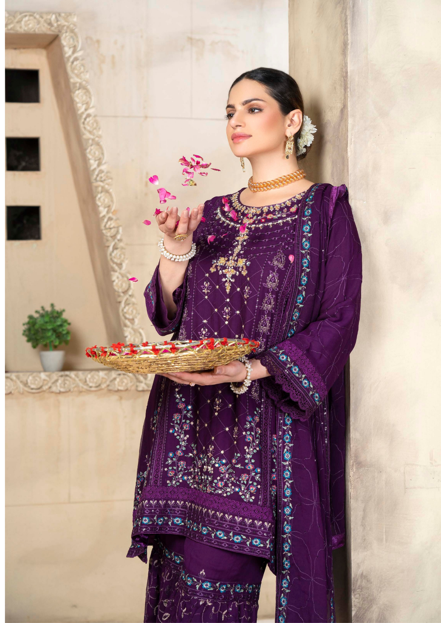 Agha Noor Chiffon Gharara Roshni Ready to Wear Collection 2025 D06 | Purple