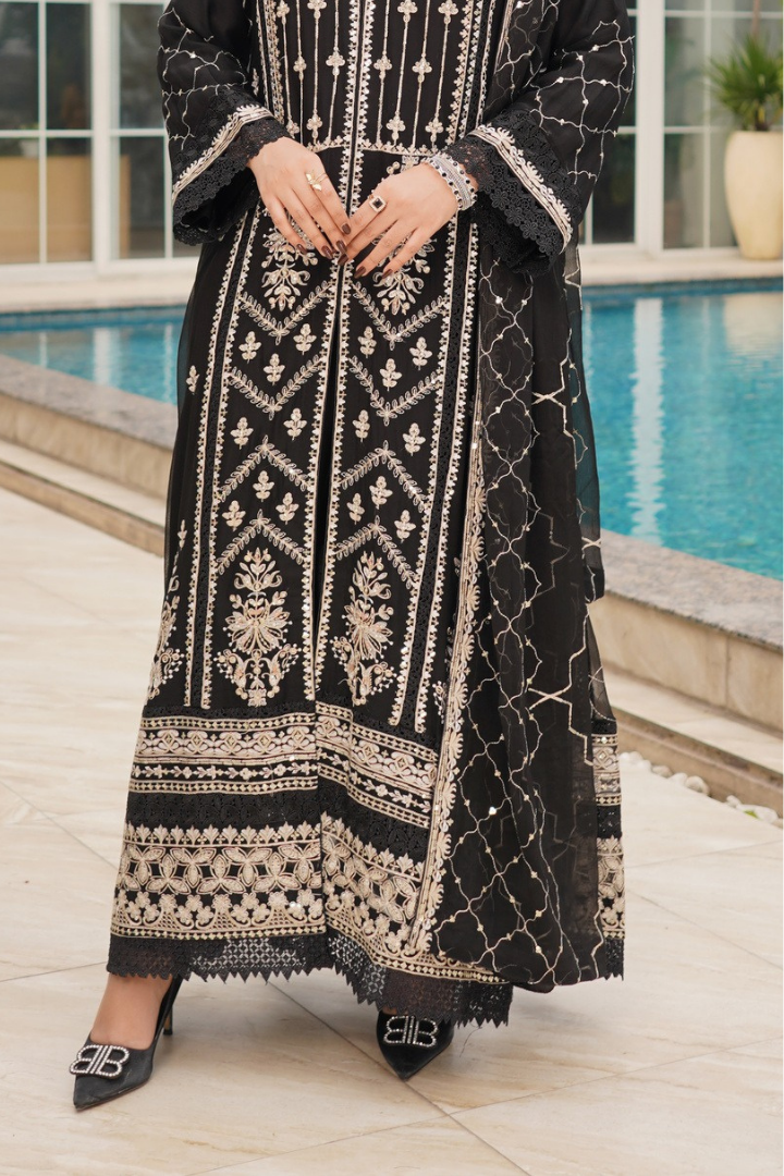 Agha Noor Zebtan Chiffon Gown Ready To Wear Collection 2026 | Black