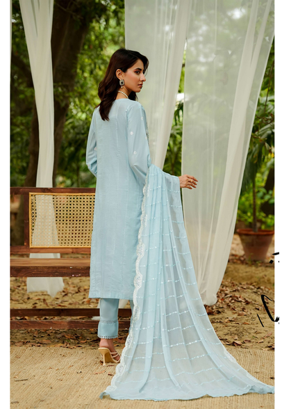 Agha Noor Cotton Ready To Wear Collection Ronak 2025 | SkyBlue