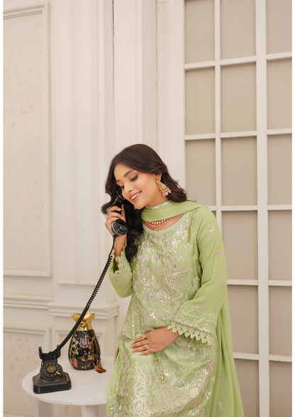 Agha Noor Silk Ready to Wear Collection Nov-2025 | Light Green