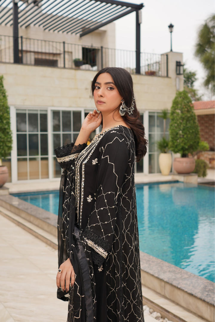 Agha Noor Zebtan Chiffon Gown Ready To Wear Collection 2026 | Black