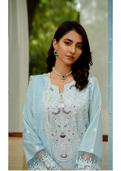Agha Noor Cotton Ready To Wear Collection Ronak 2025 | SkyBlue