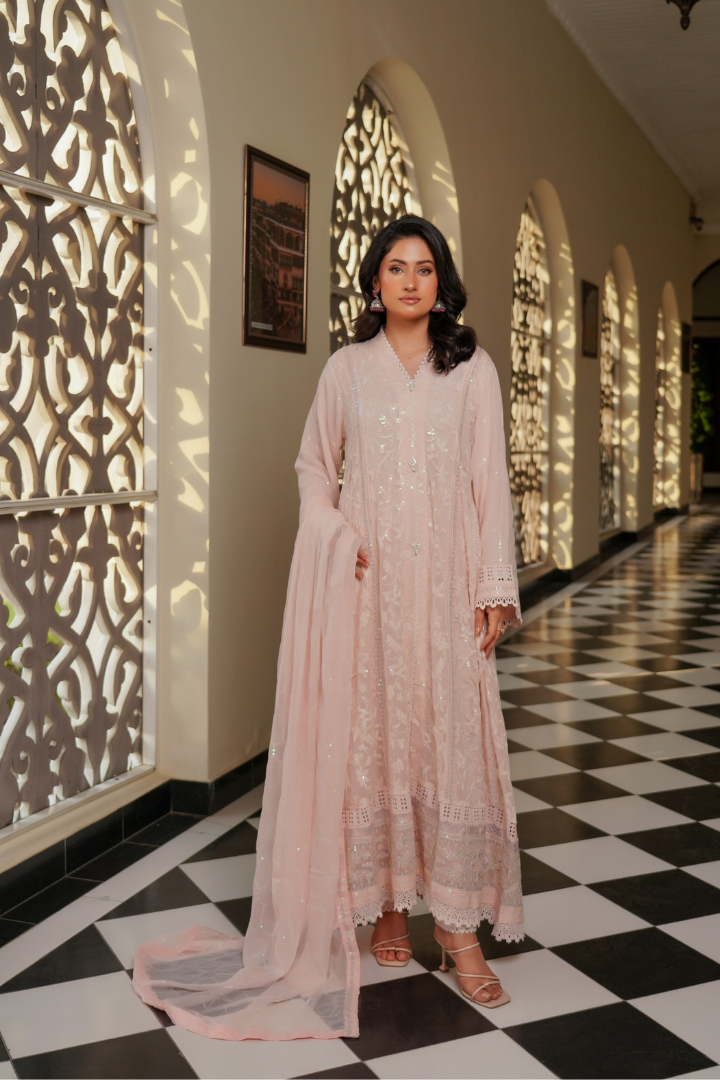 Agha Noor Luxury Gowns Afsanay Ready to Wear Collection | Light Pink