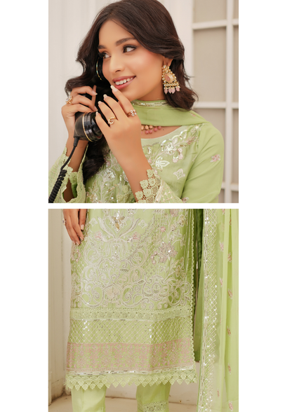 Agha Noor Silk Ready to Wear Collection Nov-2025 | Light Green