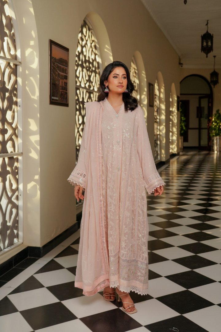 Agha Noor Luxury Gowns Afsanay Ready to Wear Collection | Light Pink