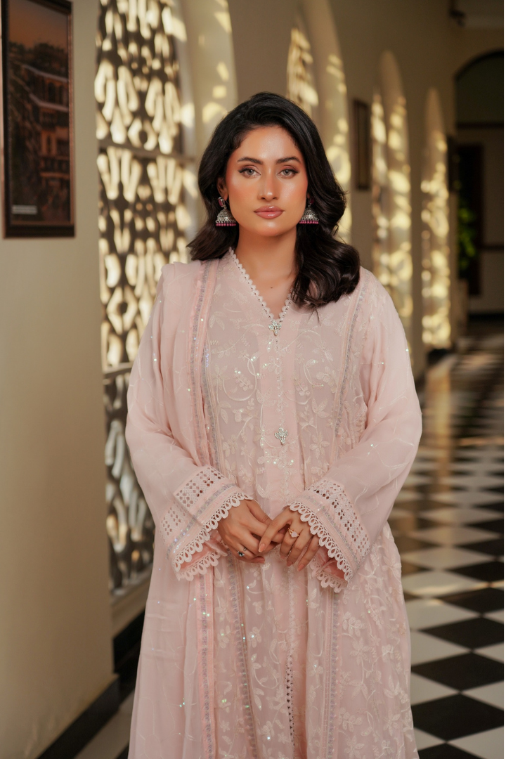 Agha Noor Luxury Gowns Afsanay Ready to Wear Collection | Light Pink