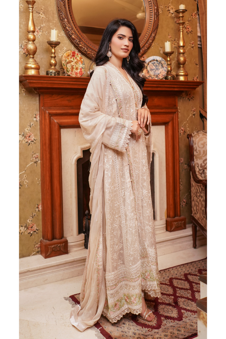 Aghanoor Afsanaay Chiffon Gown 3PCS Ready to Wear Collection | Fawn