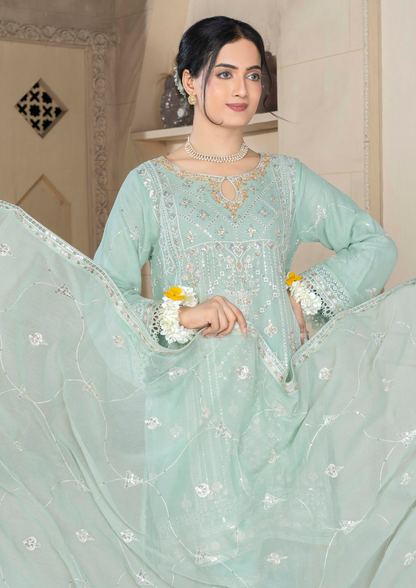 Agha Noor Chiffon Gharara Roshni Ready to Wear Collection 2025 D07 | Light Green