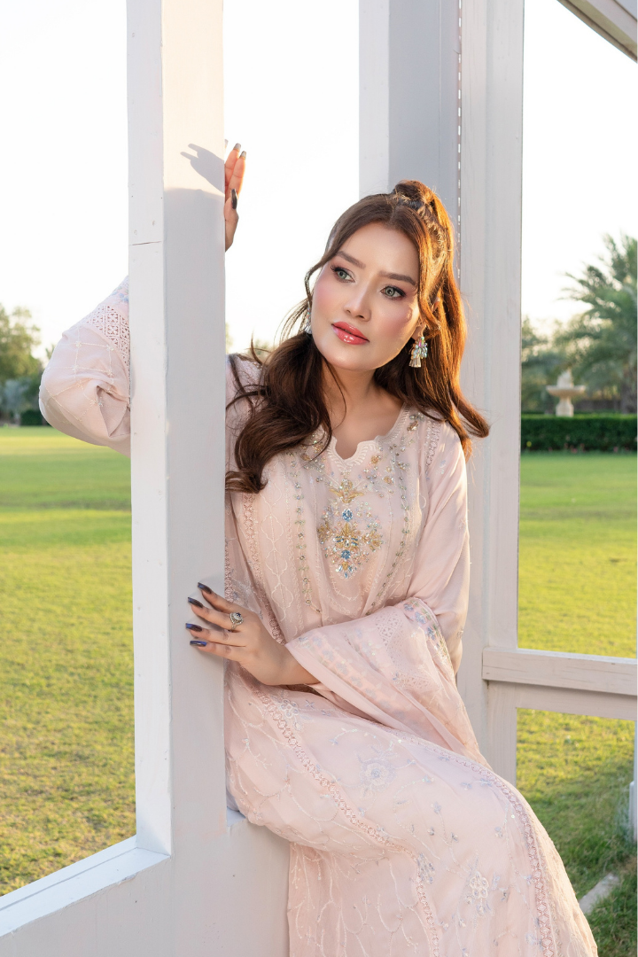 Agha Noor Luxury Gowns Rimjhim Vol-05 Ready to Wear Collection | Light Pink - Mirha Fashion
