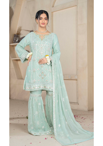 Agha Noor Chiffon Gharara Roshni Ready to Wear Collection 2025 D07 | Light Green