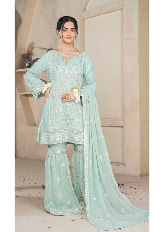 Agha Noor Chiffon Gharara Roshni Ready to Wear Collection 2025 D07 | Light Green