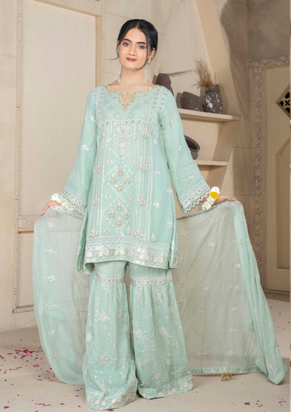 Agha Noor Chiffon Gharara Roshni Ready to Wear Collection 2025 D07 | Light Green