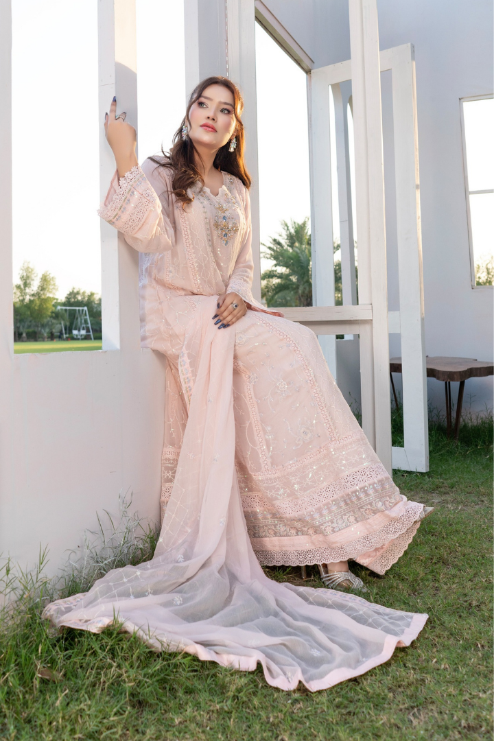 Agha Noor Luxury Gowns Rimjhim Vol-05 Ready to Wear Collection | Light Pink - Mirha Fashion
