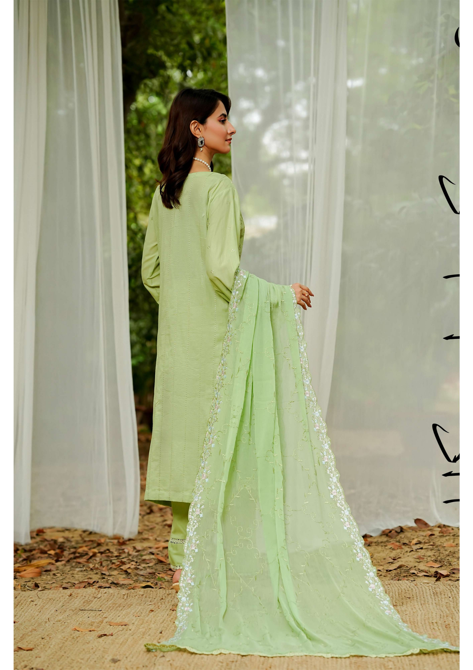 Agha Noor Cotton Ready To Wear Collection Ronak 2025 | Green