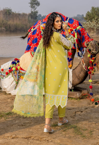 Adan Libaas Lawn By Hafsa Zia ADL101 -5522 - Mirha Fashion