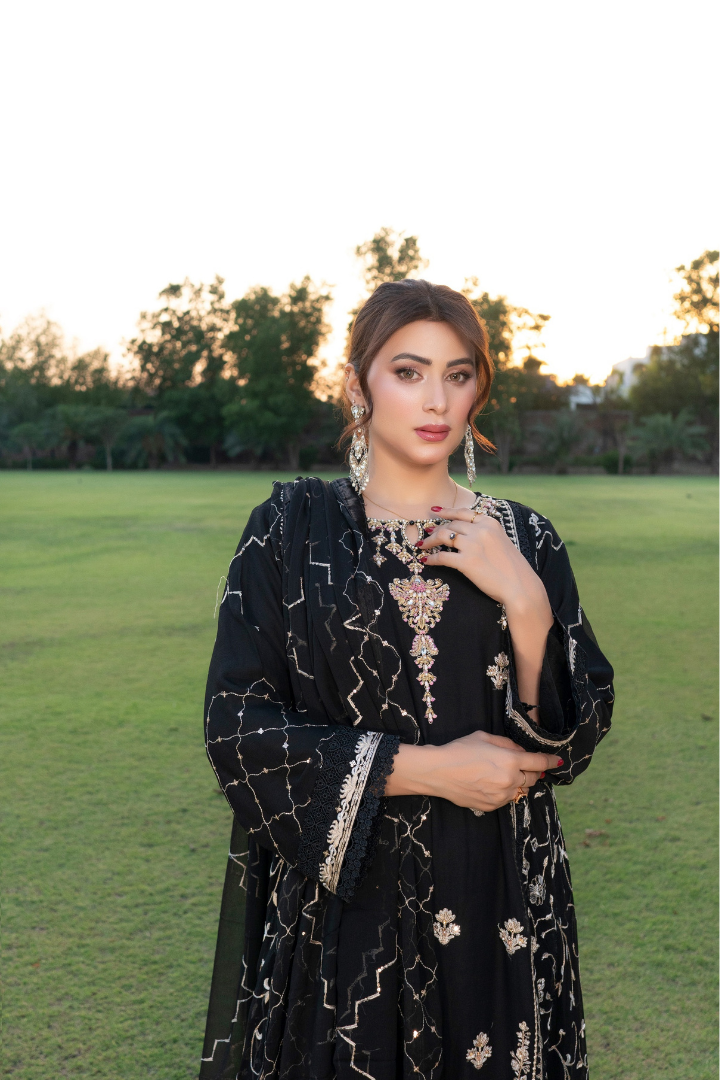 Agha Noor Luxury Gowns Rimjhim Vol-05 Ready to Wear Collection | Black - Mirha Fashion