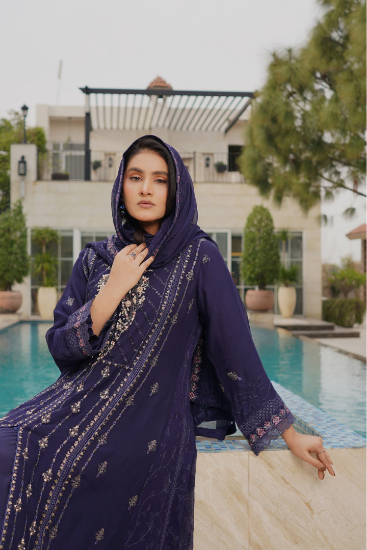 Agha Noor Zebtan Chiffon Gown Ready To Wear Collection 2026 | Blue