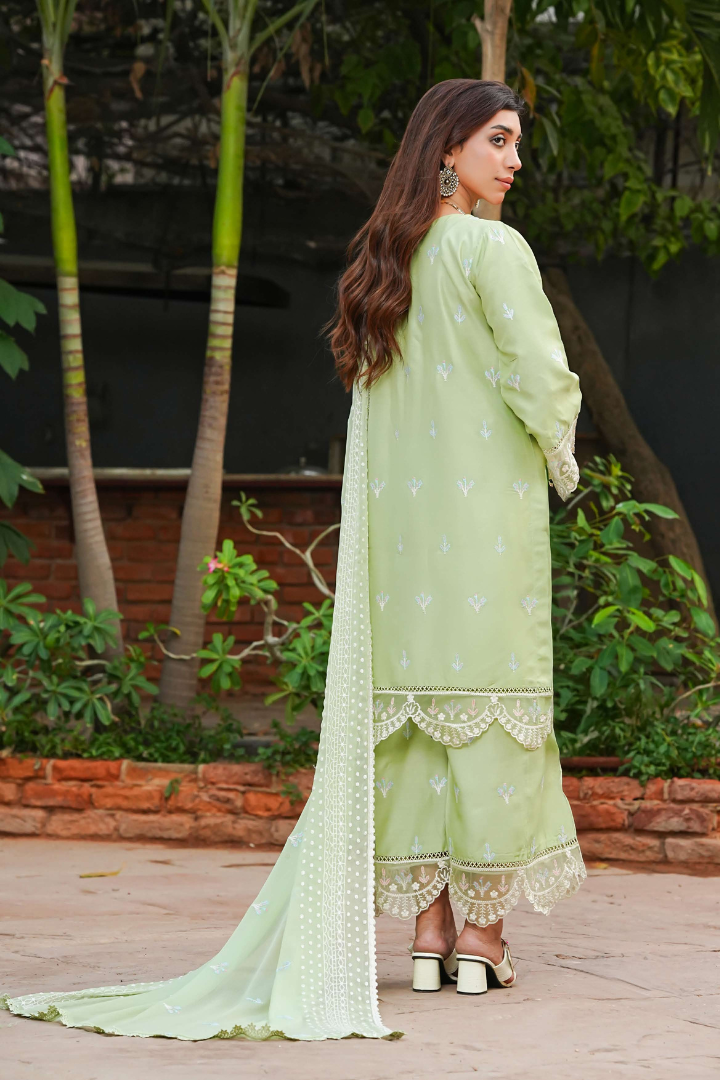 Shaanse Cyra Cotton Silk 3PCS Ready to Wear Collection Dec-2025 | Light Green
