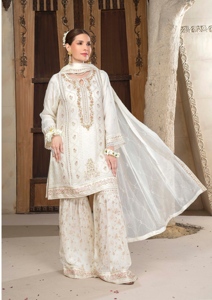 Agha Noor Chiffon Gharara Roshni Ready to Wear Collection 2025 D09 | White