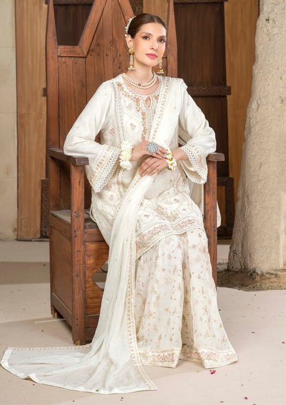 Agha Noor Chiffon Gharara Roshni Ready to Wear Collection 2025 D09 | White