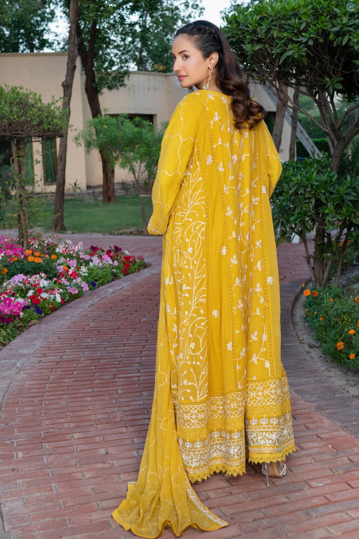 Agha Noor Luxury Gowns Rimjhim Vol-05 Ready to Wear Collection | Yellow - Mirha Fashion