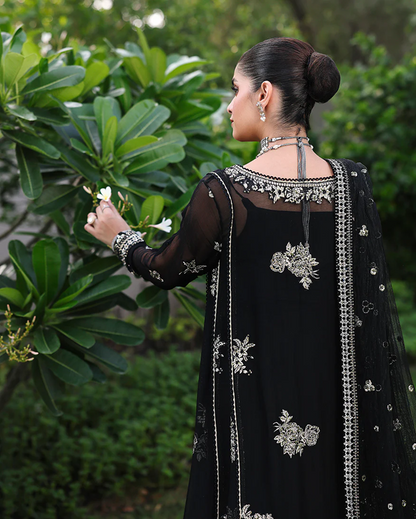Roheenaz Aangan Chiffon Unstitched Collection 25 RUNCH250101 | Zyrah