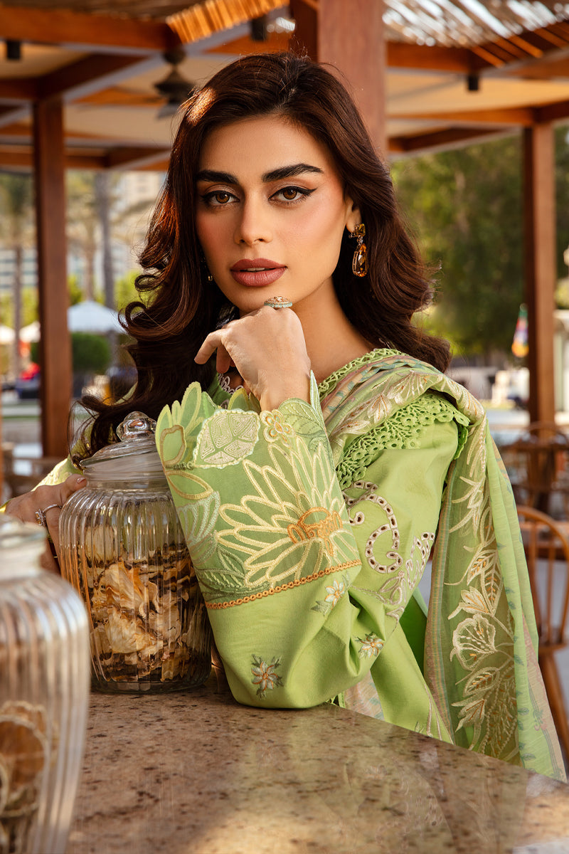 Rang Rasiya Premium Lawn Collection 2025  - Elaheh